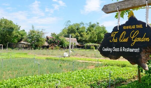 Tra Que Herb Village Green